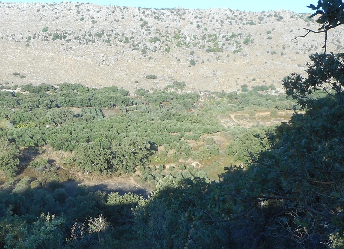 BUILDING PLOT 1435 m² builds 400 m² with olive trees in a nice area