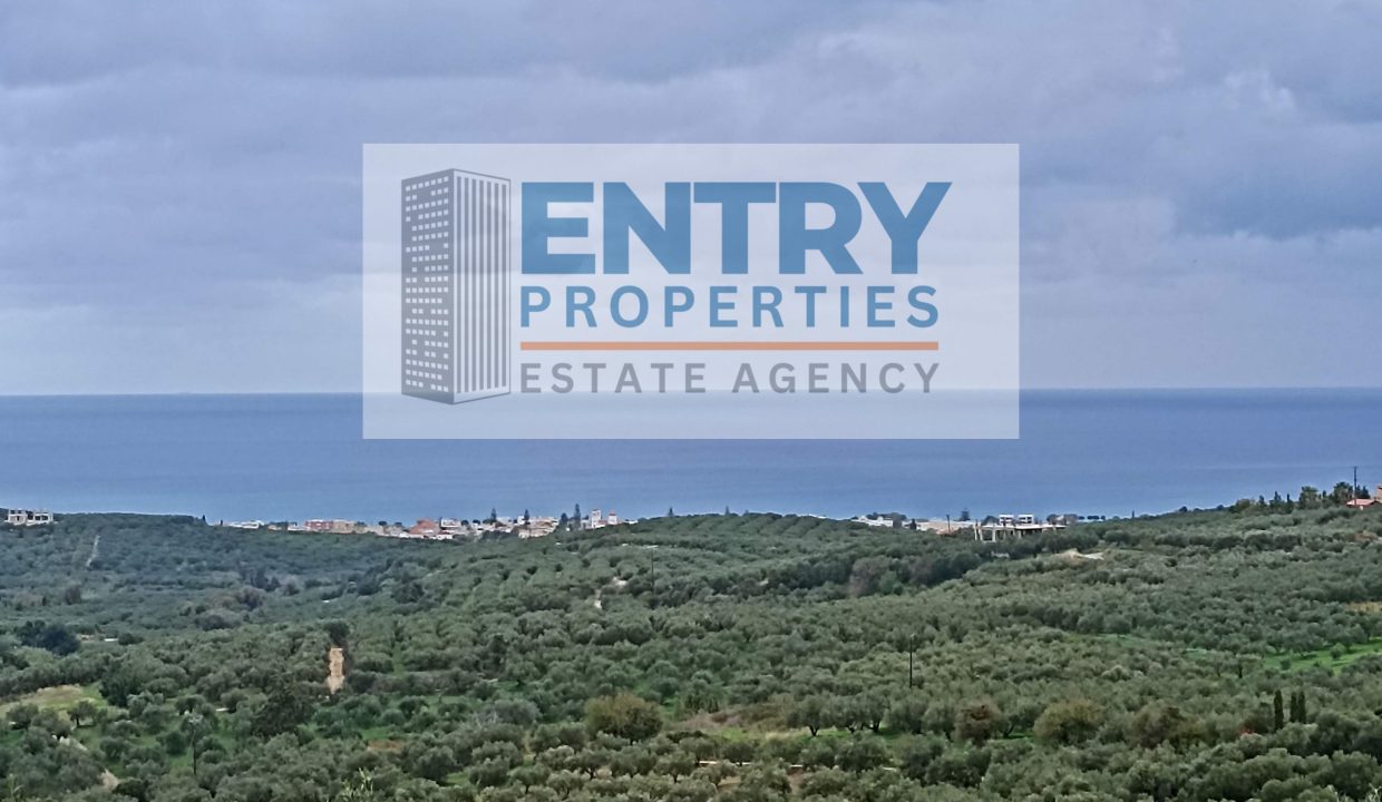 IMG_20251123_135521 (1)