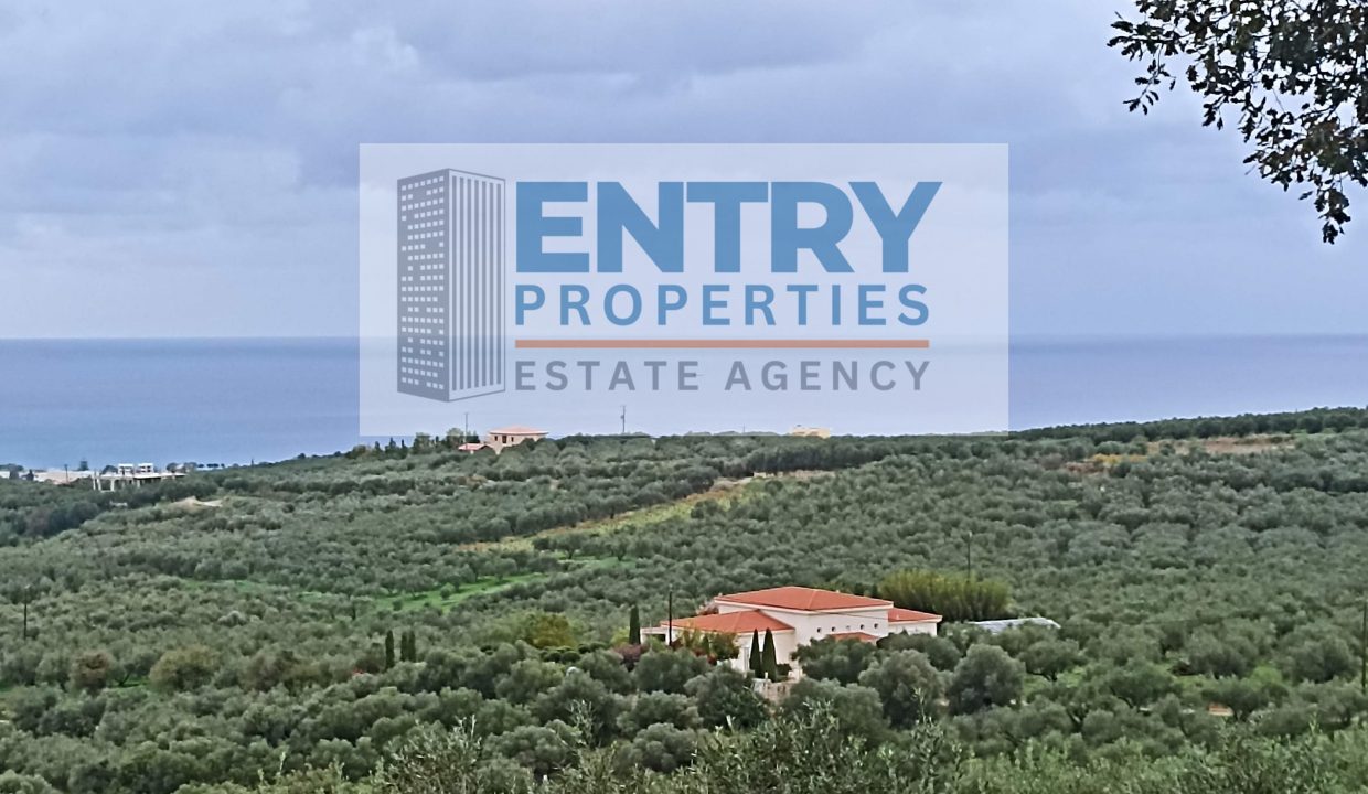 IMG_20251123_135523 (1)