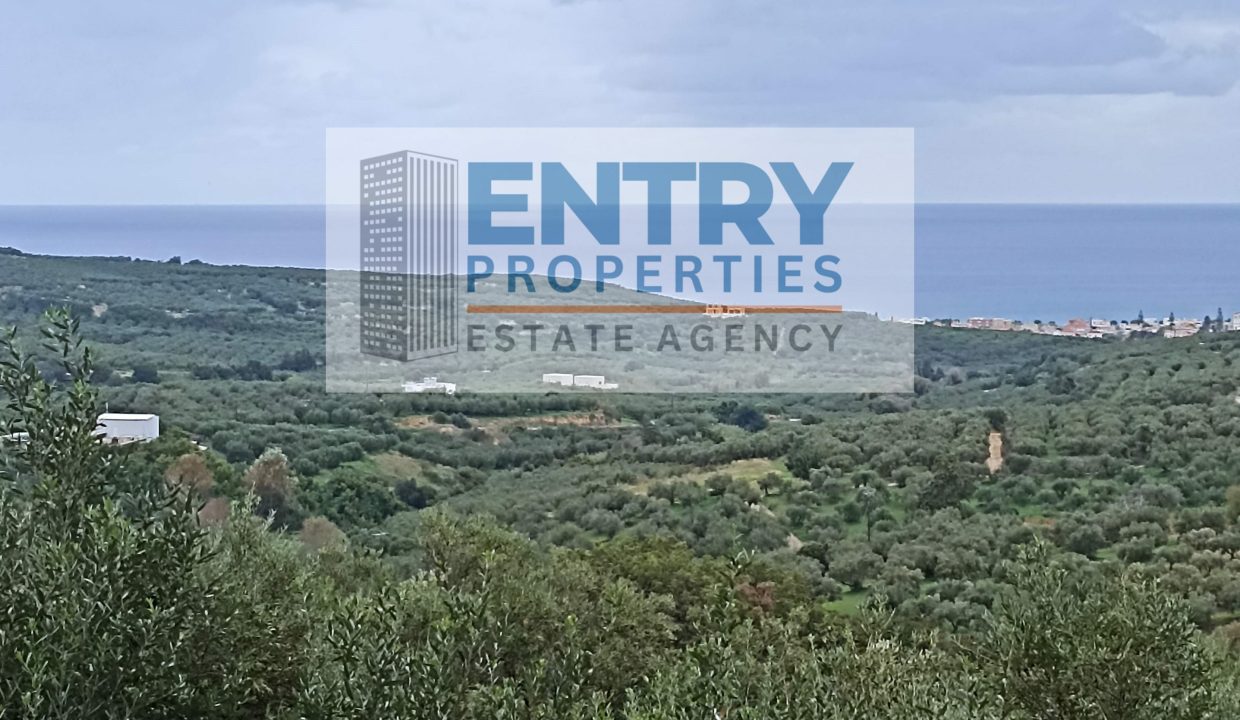 IMG_20251123_135526 (1)