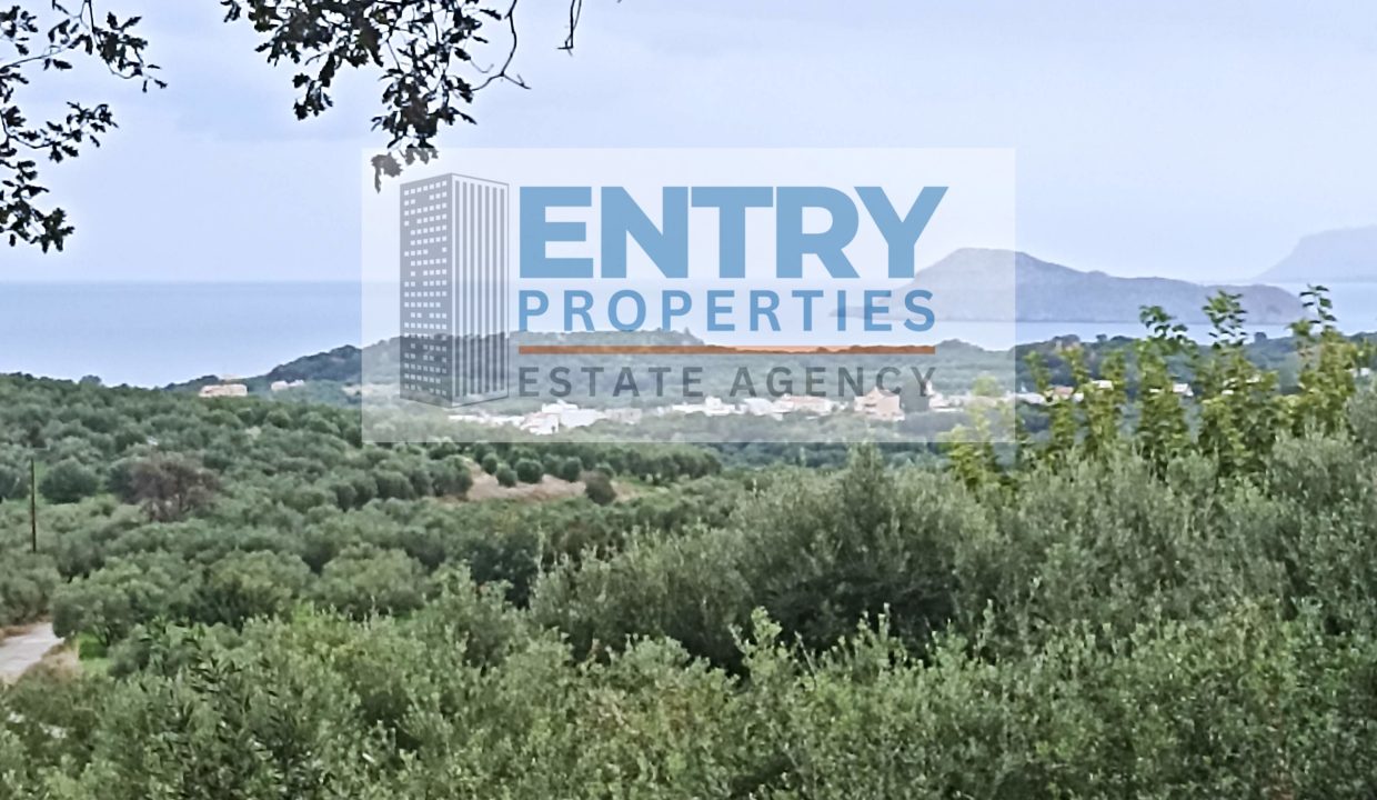 IMG_20251123_135542 (1)