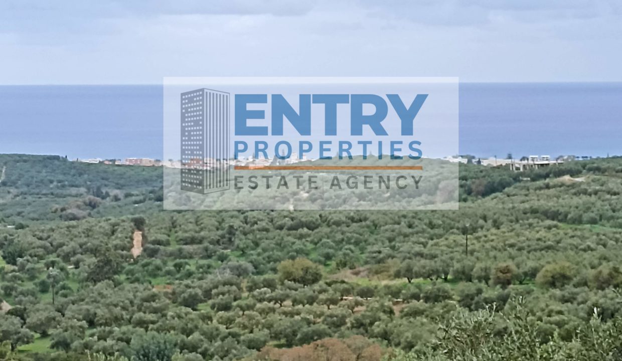 IMG_20251123_135553 (1)