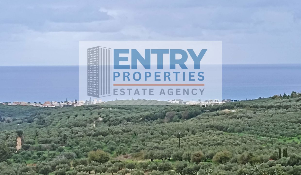 IMG_20251123_135643 (1)