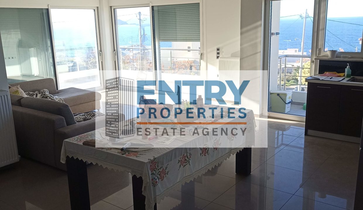 IMG_20260113_152349 (1)