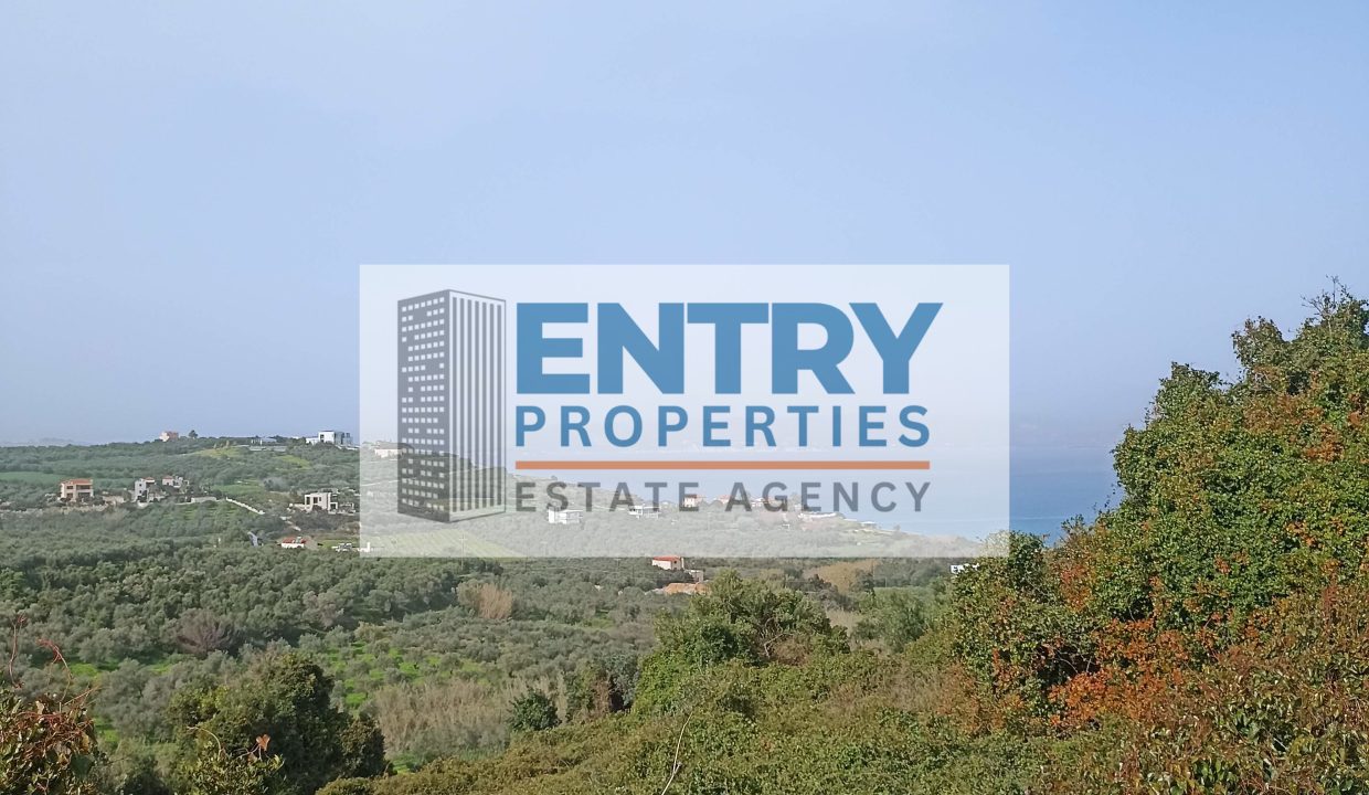 IMG_20260201_134525 (1)