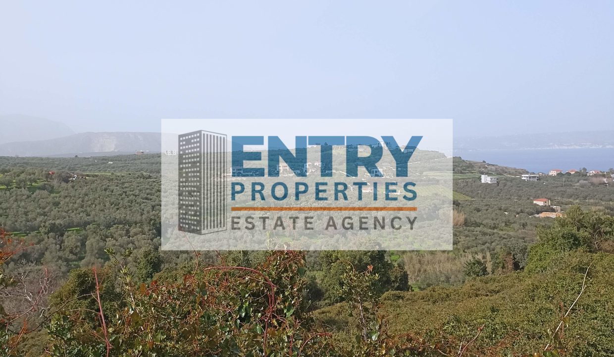 IMG_20260201_134528 (1)