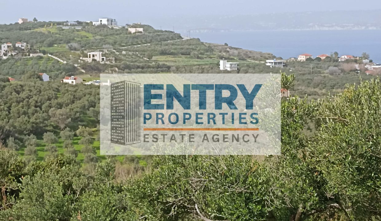 IMG_20260201_134558 (1)