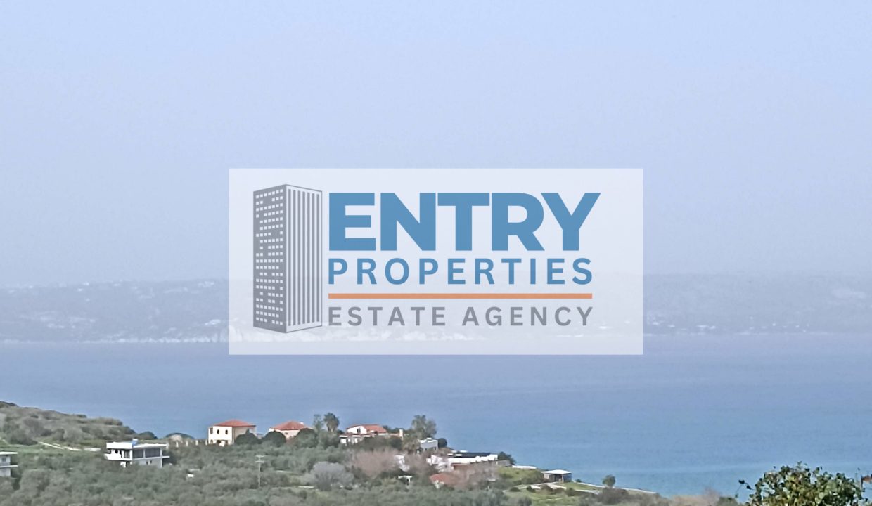 IMG_20260201_134751 (1)