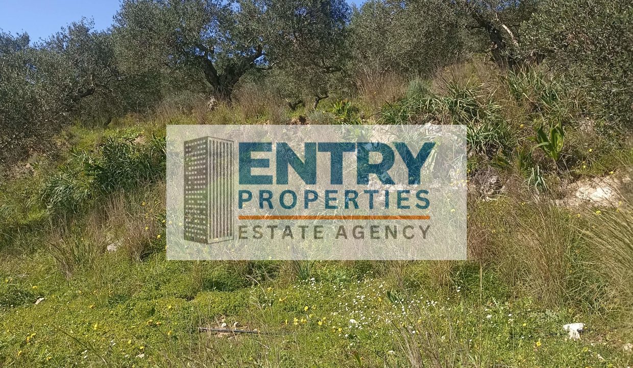 IMG_20260226_115139 (1)