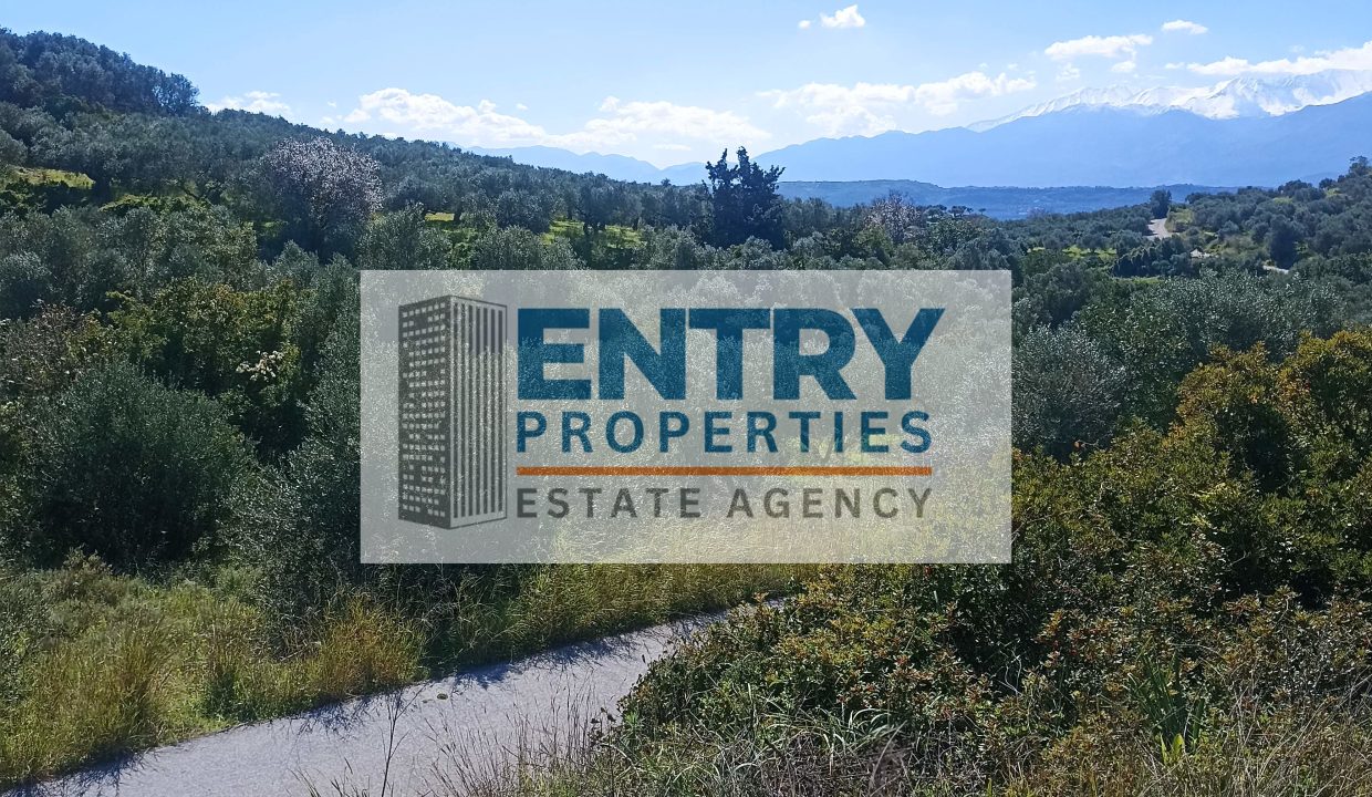 IMG_20260226_115142 (1)