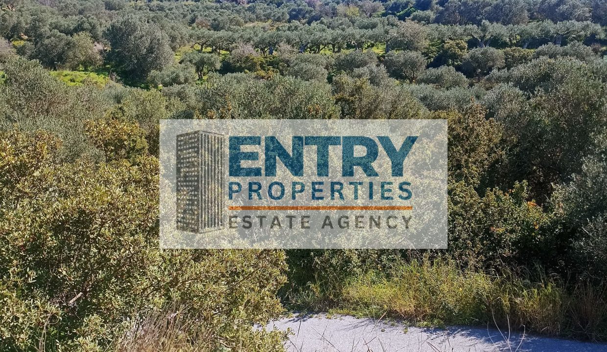 IMG_20260226_115144 (1)