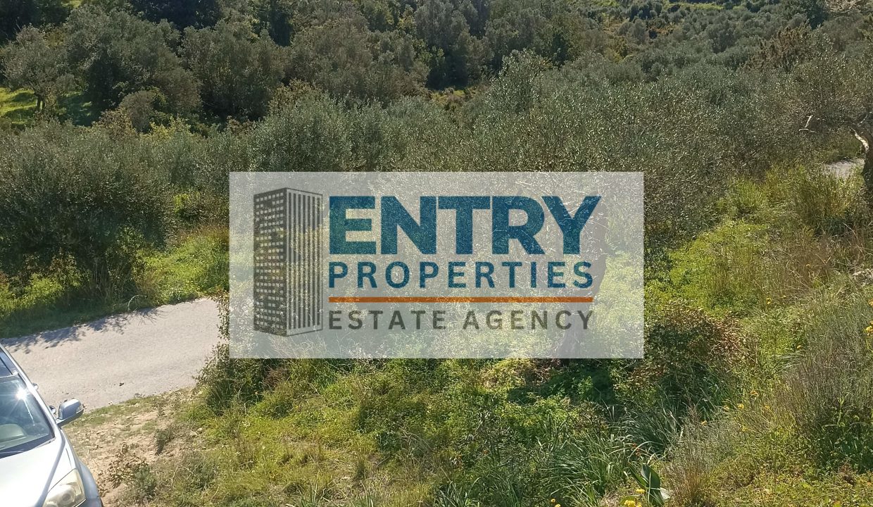 IMG_20260226_115302 (1)