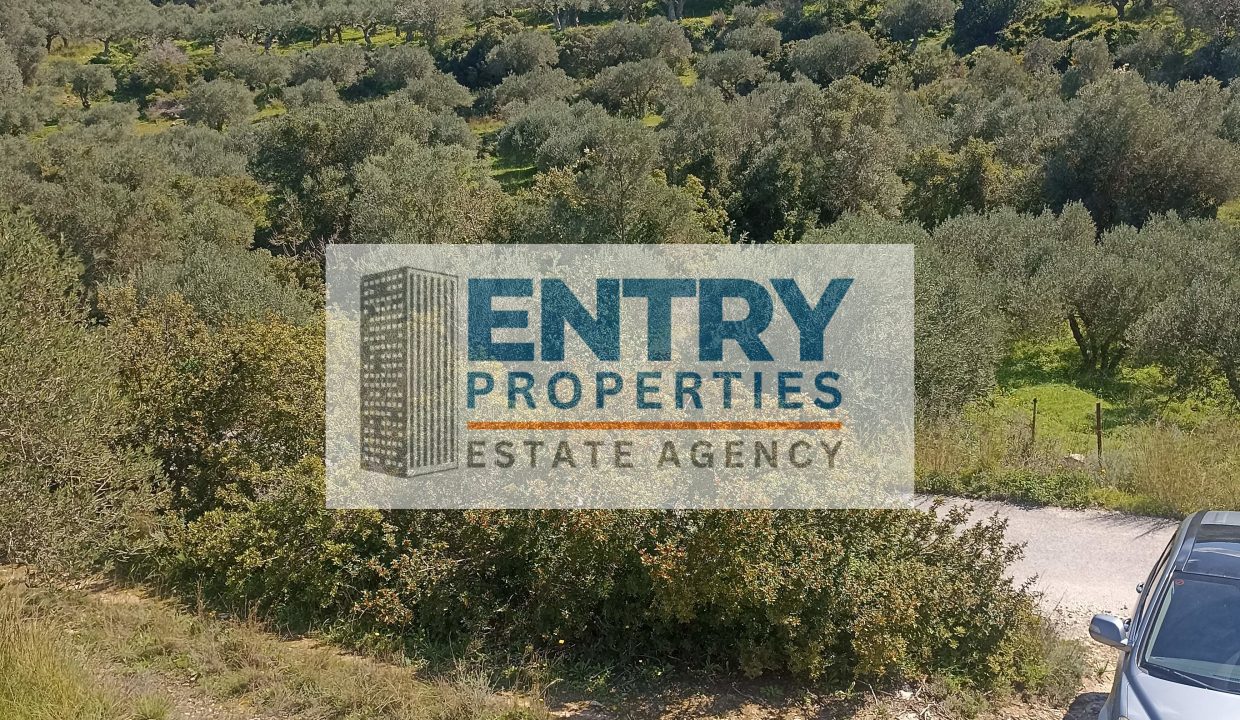 IMG_20260226_115307 (1)