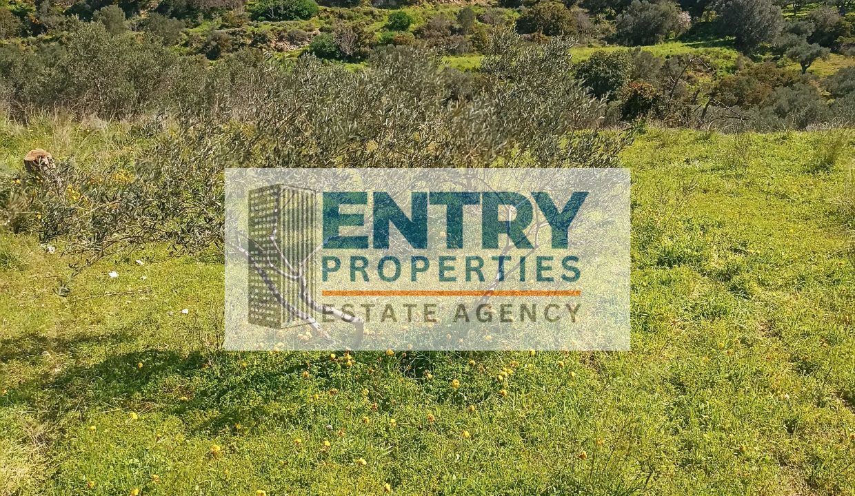 IMG_20260226_115508 (1)