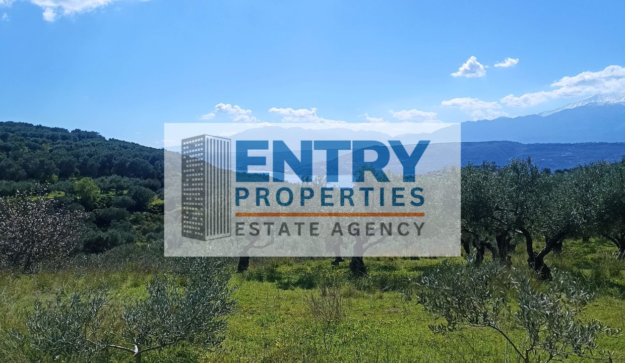 IMG_20260226_115510 (1)