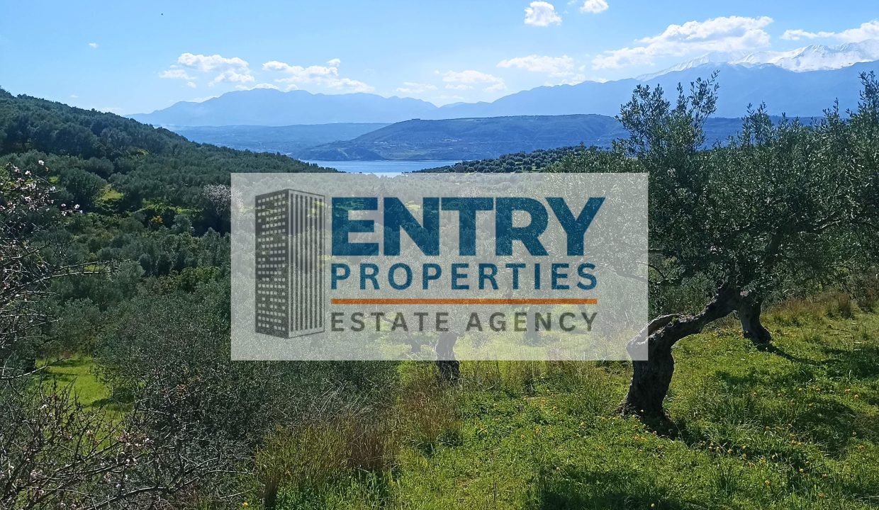 IMG_20260226_115644 (1)