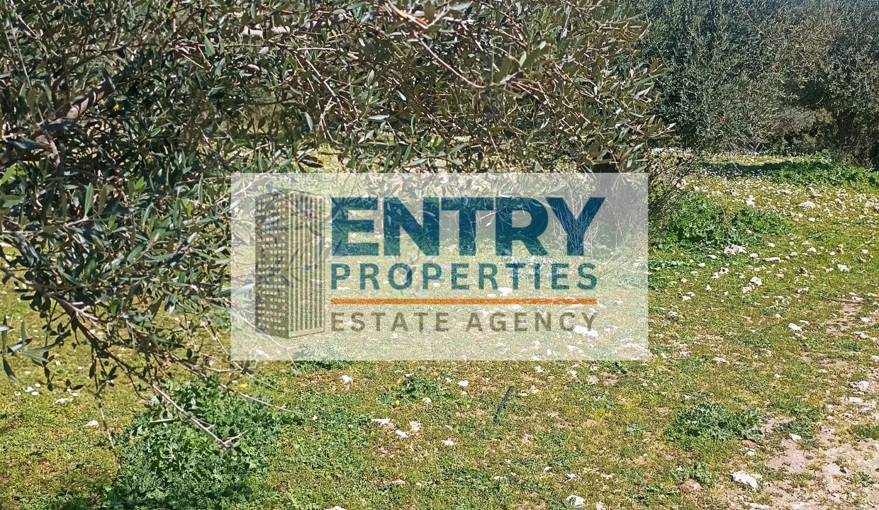 IMG_20260226_121601 (1)