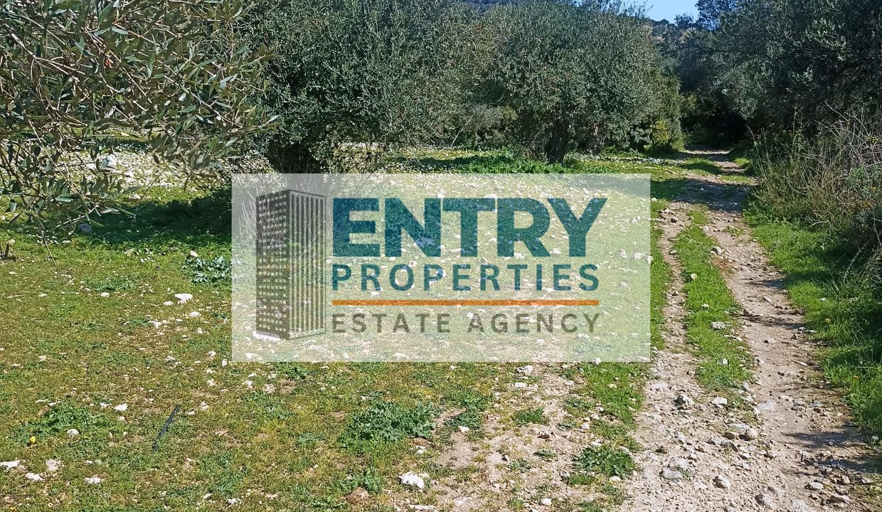 IMG_20260226_121603 (1)