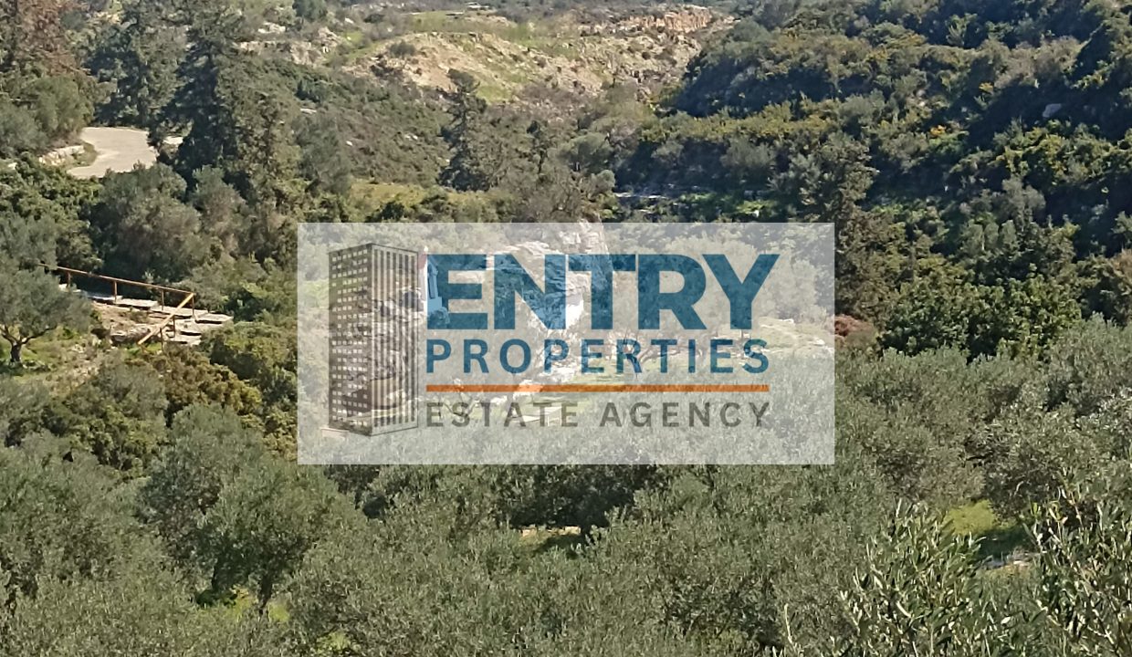 IMG_20260226_122015 (1)