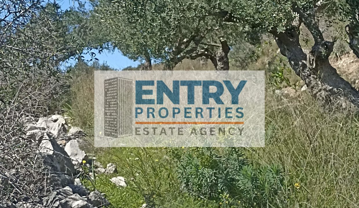 IMG_20260226_122100 (1)