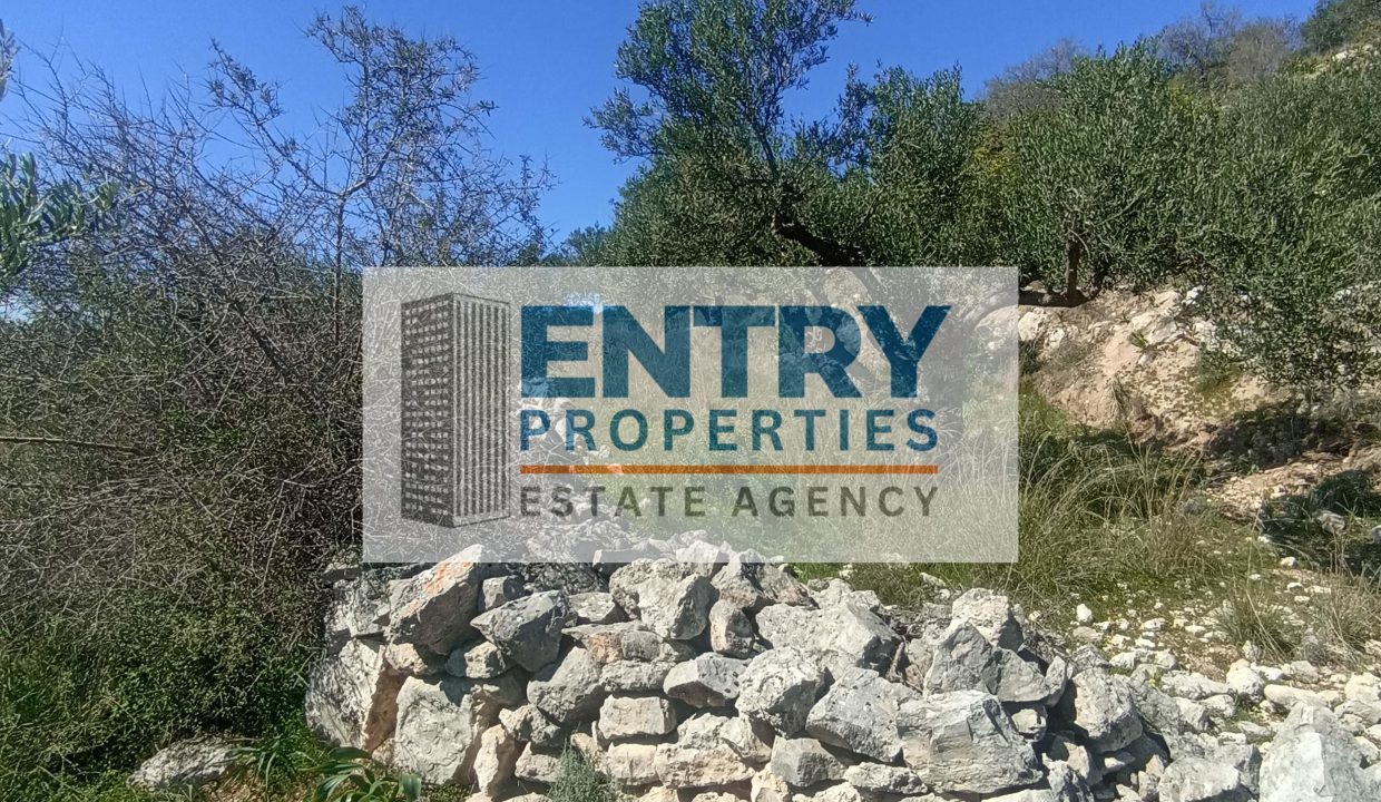 IMG_20260226_122105 (1)