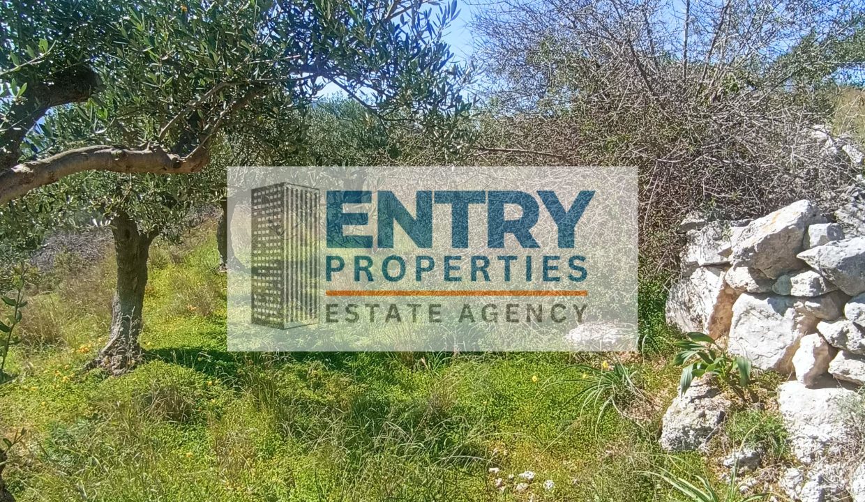 IMG_20260226_122107 (1)