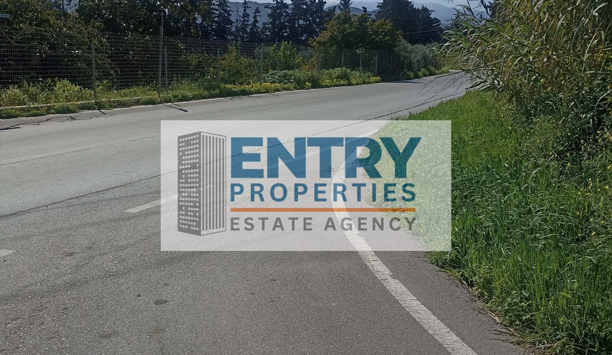 IMG_20260302_115622 (1)