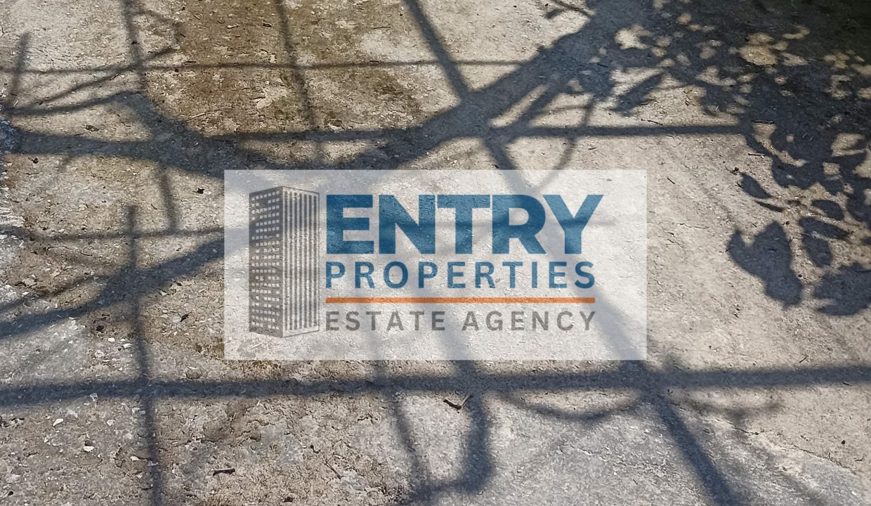 IMG_20260302_115639. (1)