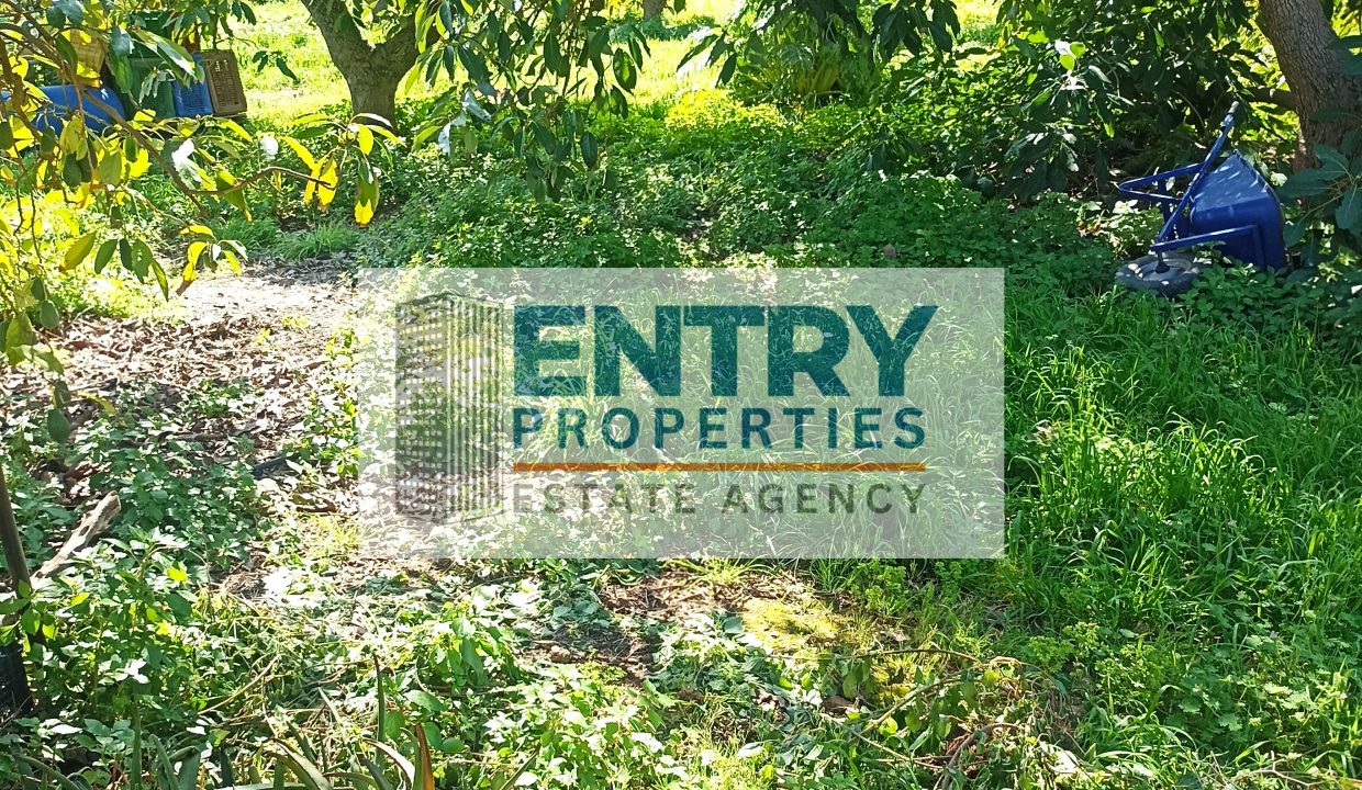 IMG_20260302_115828 (1)