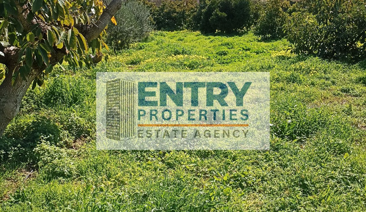 IMG_20260302_115921 (1)