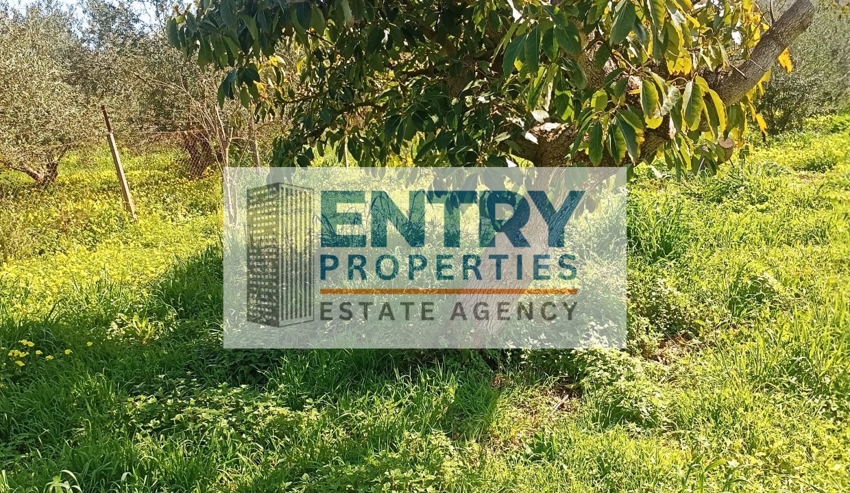 IMG_20260302_115923 (1)