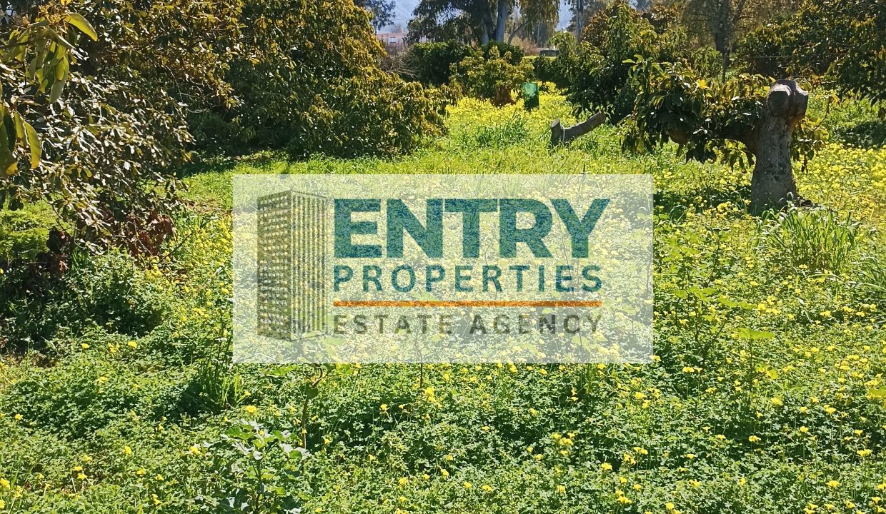 IMG_20260302_115951 (1)