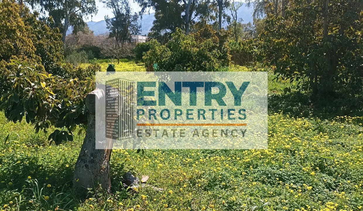 IMG_20260302_120004 (1)