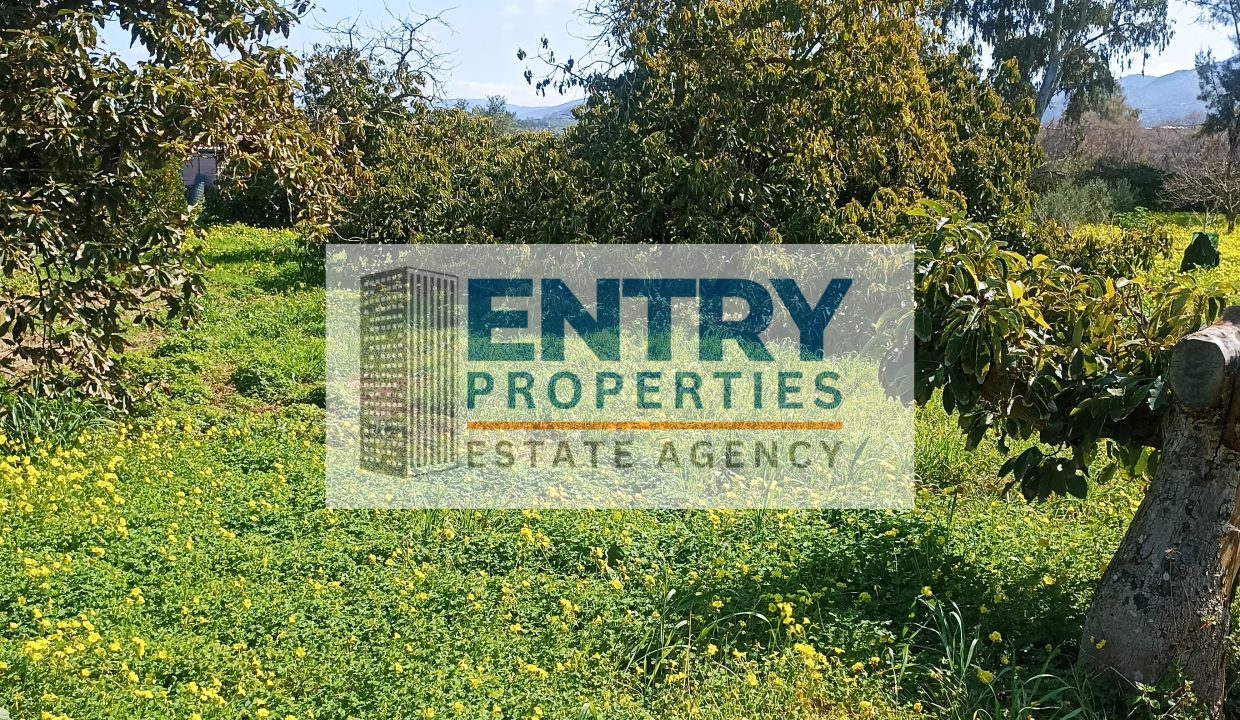 IMG_20260302_120006 (1)