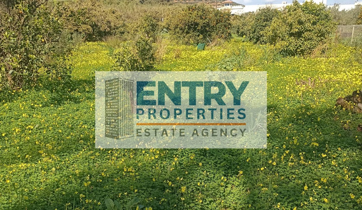 IMG_20260302_120254 (1)