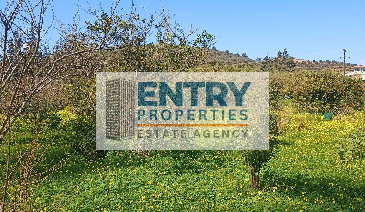 IMG_20260302_120257 (1)