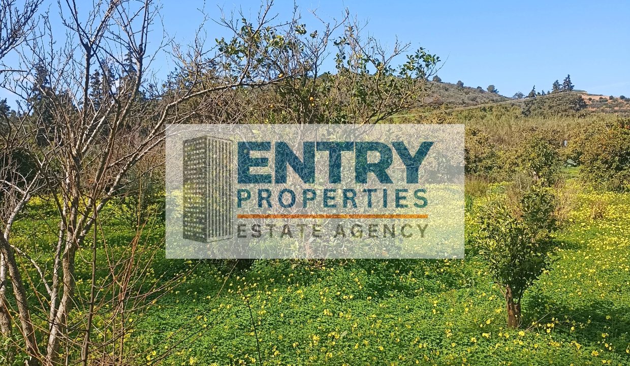 IMG_20260302_120300 (1)