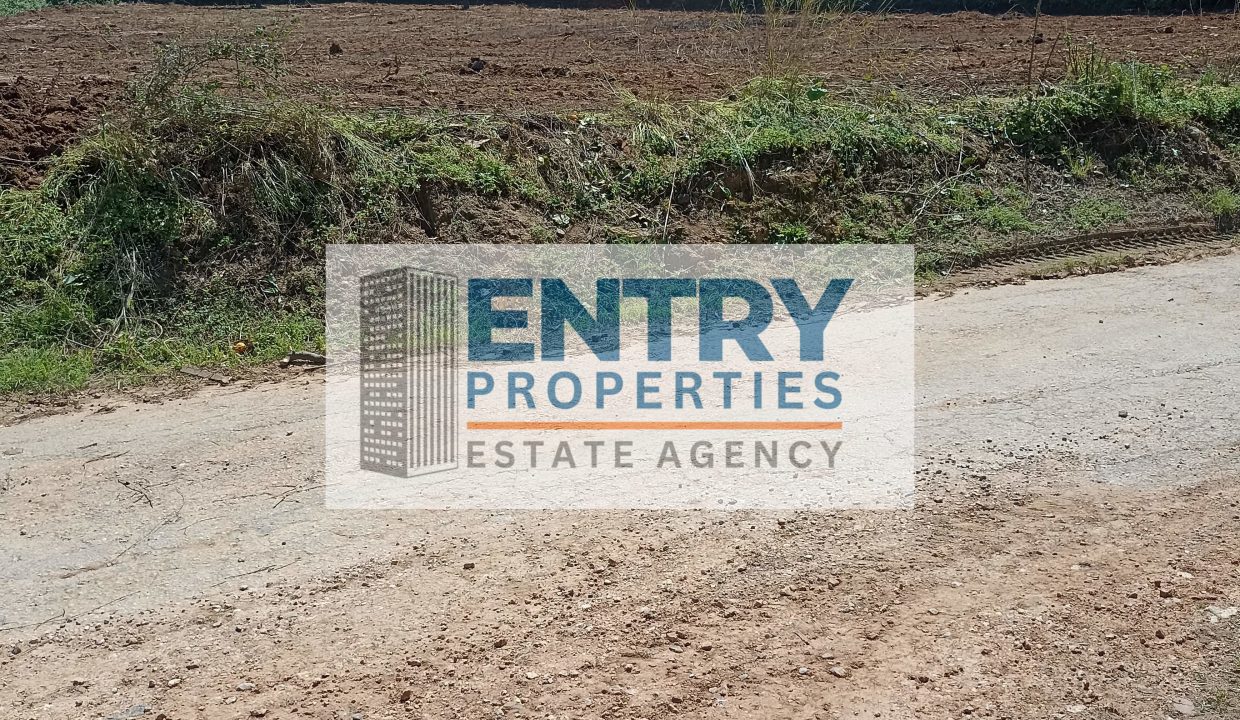 IMG_20260411_142221 (1)