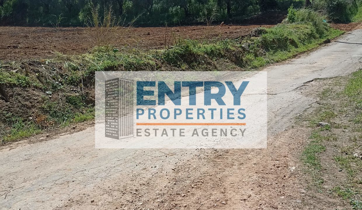 IMG_20260411_142226 (1)