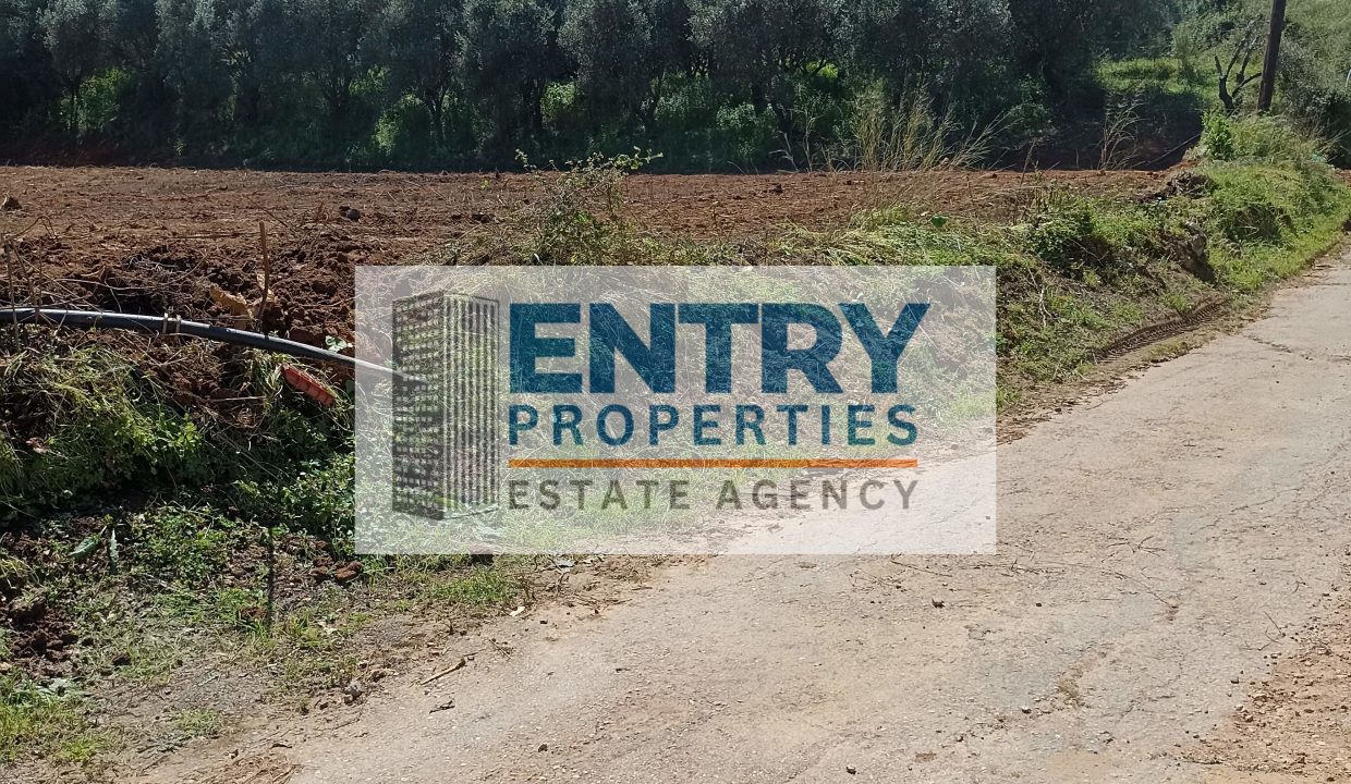 IMG_20260411_142235 (1)