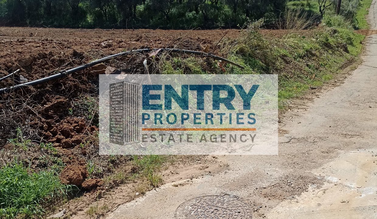 IMG_20260411_142244 (1)