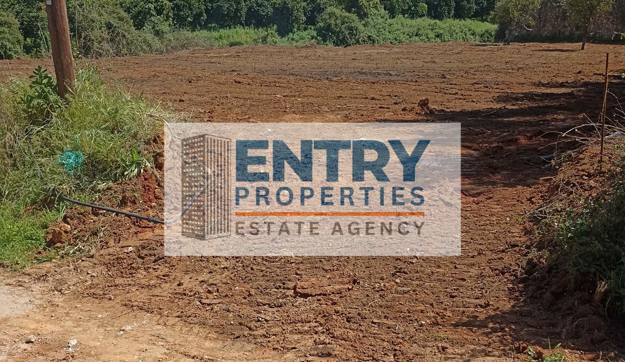 IMG_20260411_142337 (1)