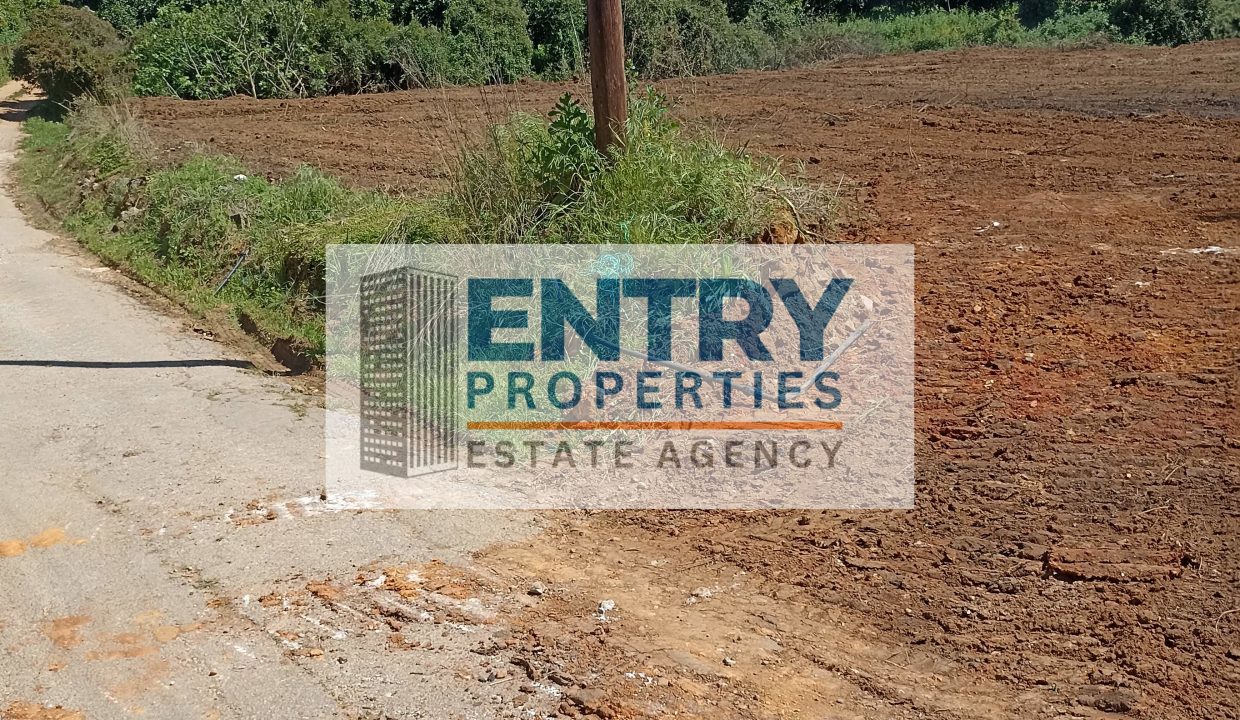 IMG_20260411_142339 (1)