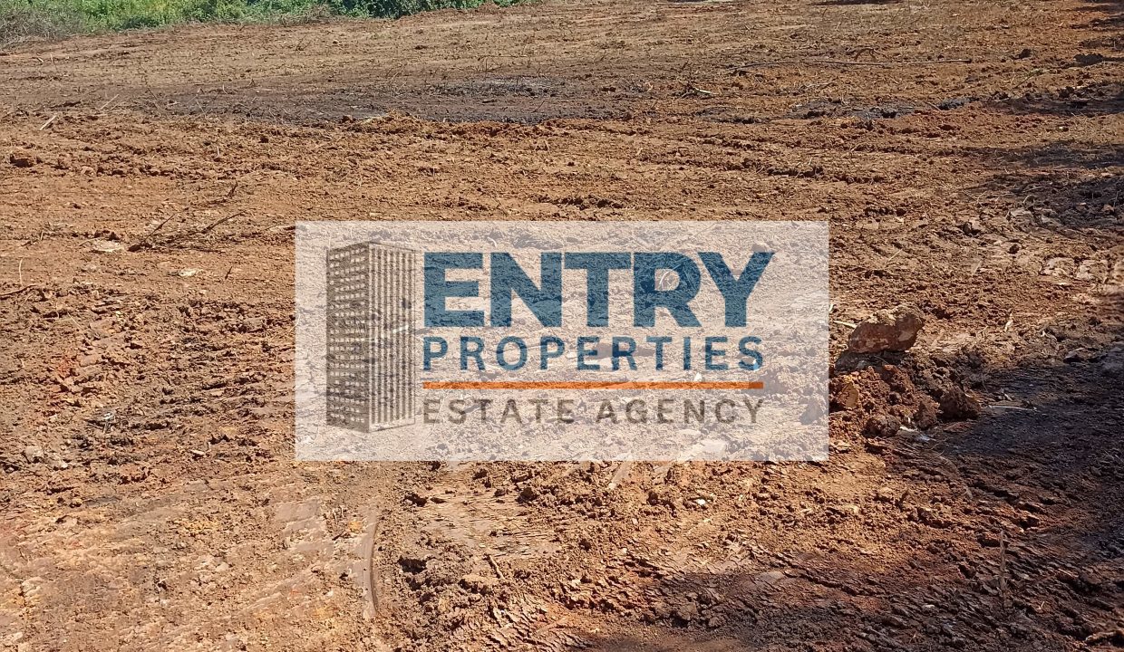 IMG_20260411_142349 (1)