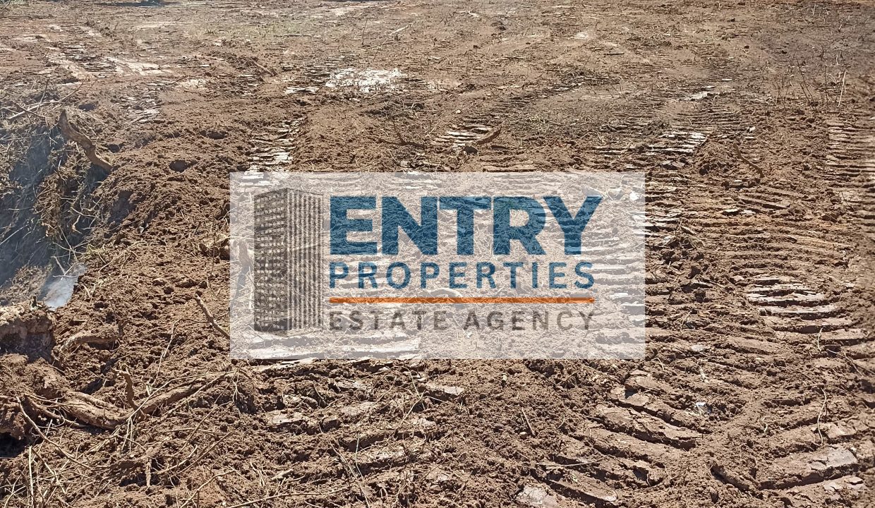 IMG_20260411_142418 (1)