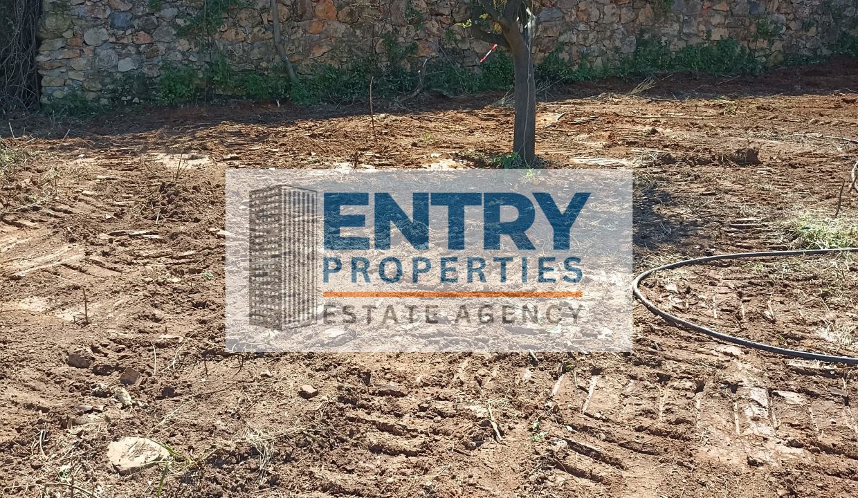 IMG_20260411_142452 (1)