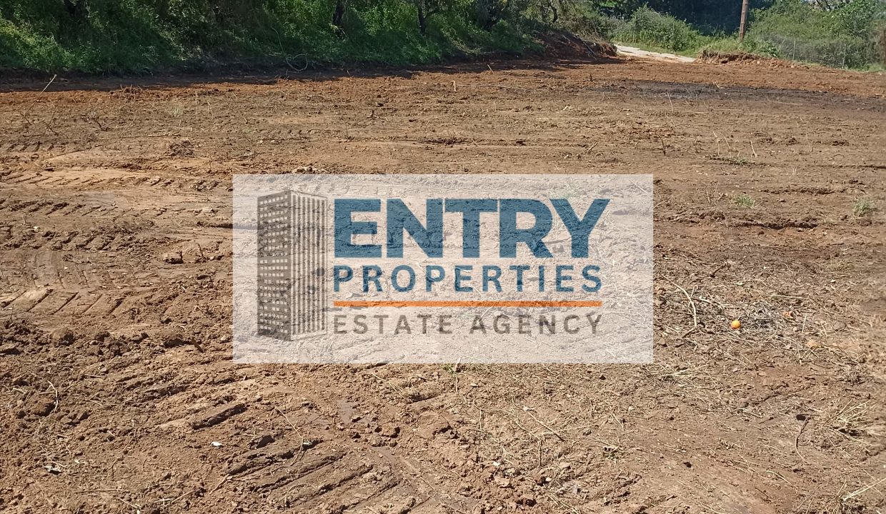 IMG_20260411_142454 (1)