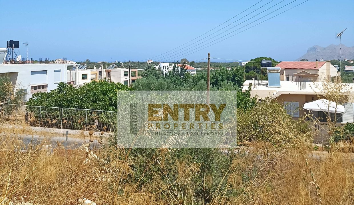 IMG_20260809_124146 (1)
